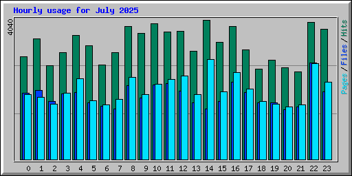 Hourly usage for July 2025