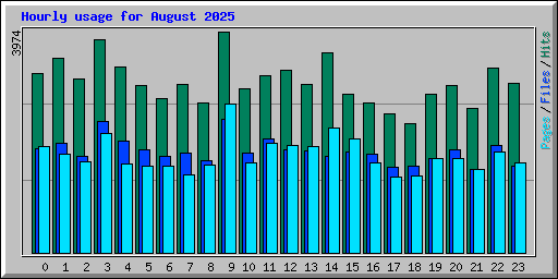Hourly usage for August 2025