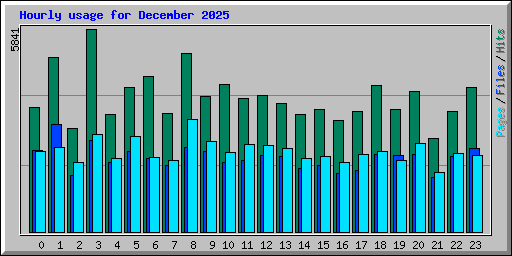 Hourly usage for December 2025