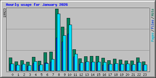 Hourly usage for January 2026